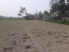 জমি